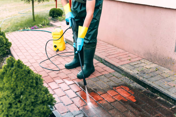 Best Building Exterior Washing  in New Brighton, MN